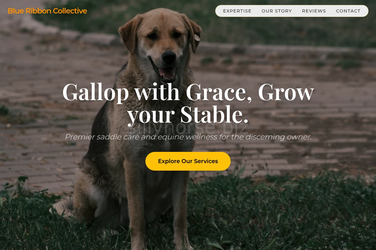 Saddle Animal Care