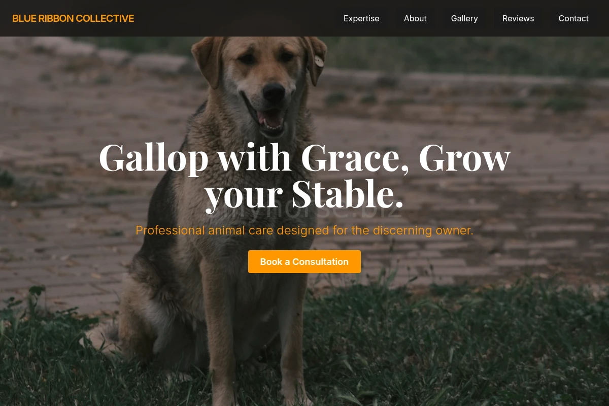 Jump Animal Care