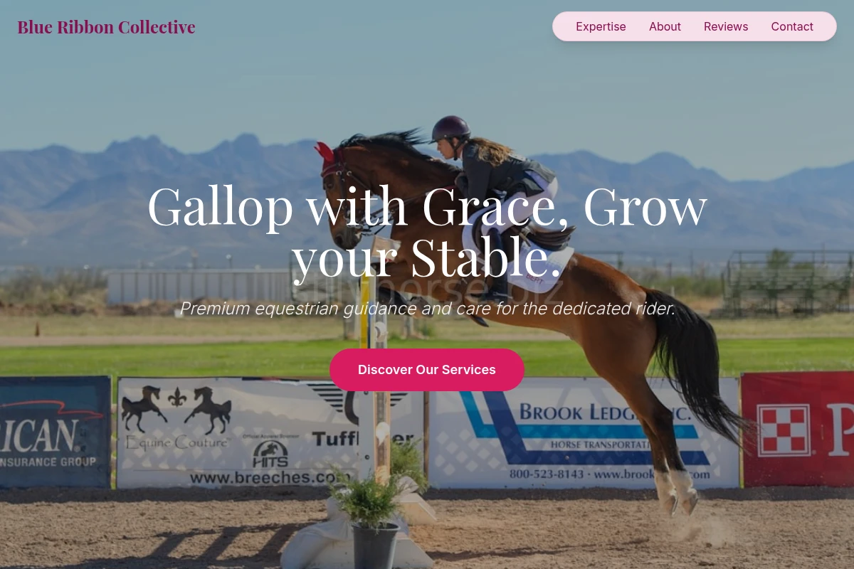 Bridle Equestrian