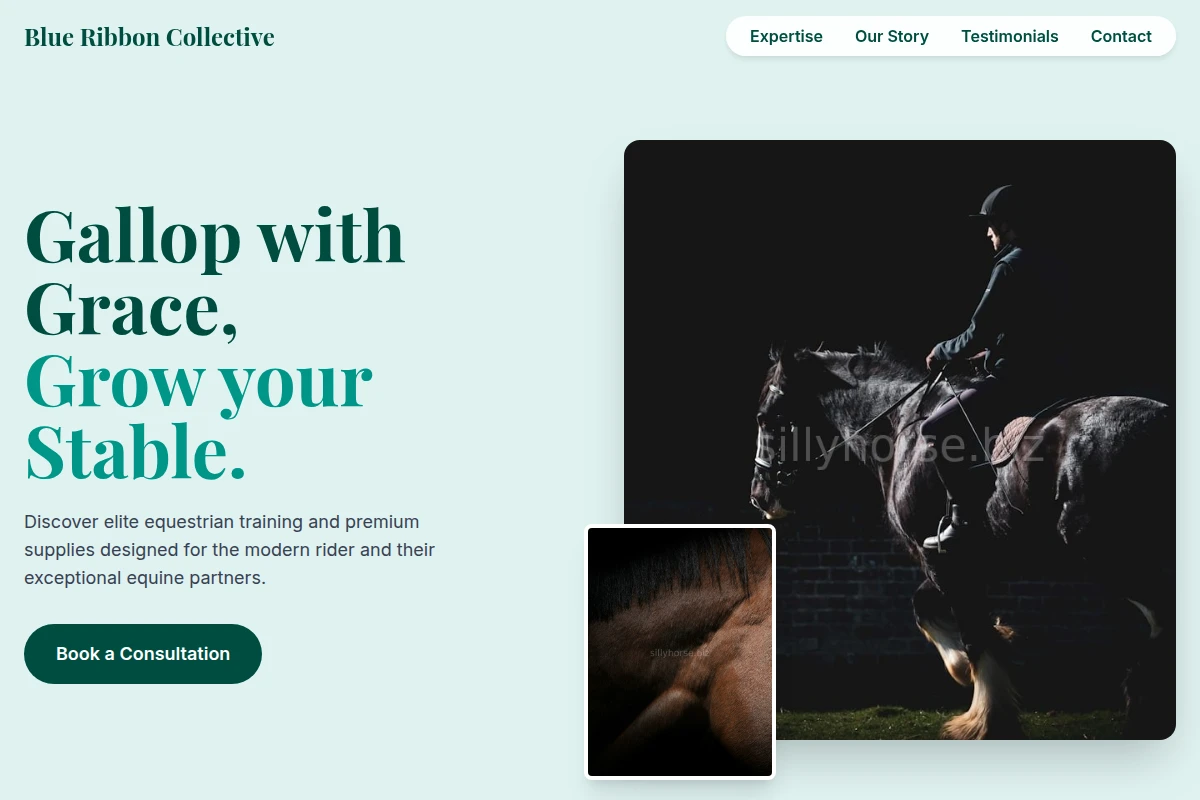 Bridle Equestrian