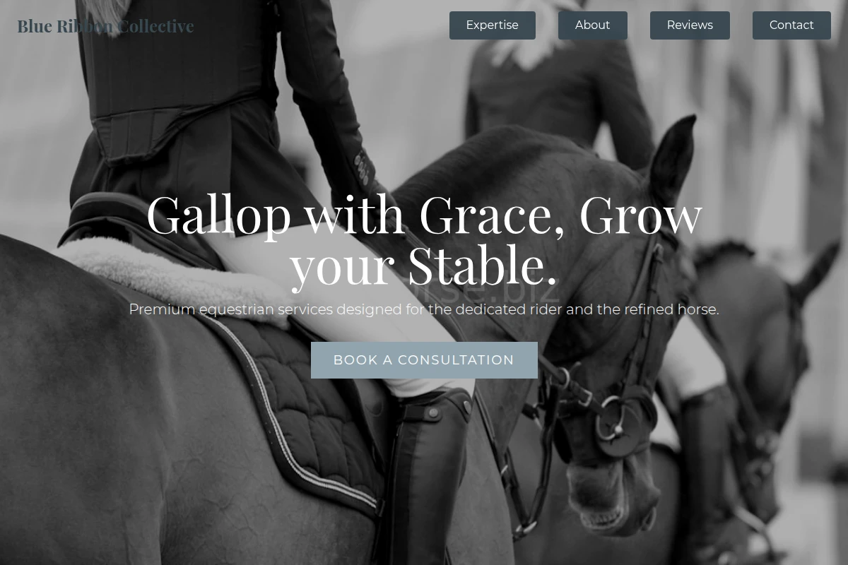 Paddock Equestrian