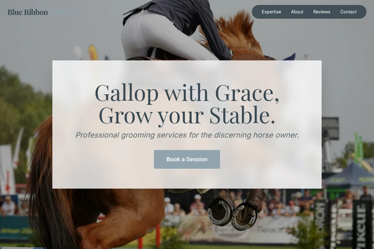 Groom Equestrian