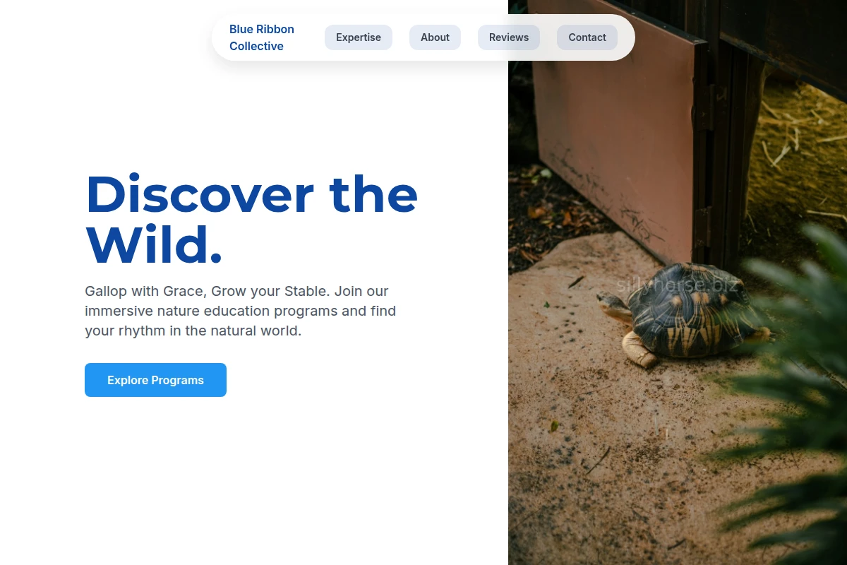 Brush Nature Education