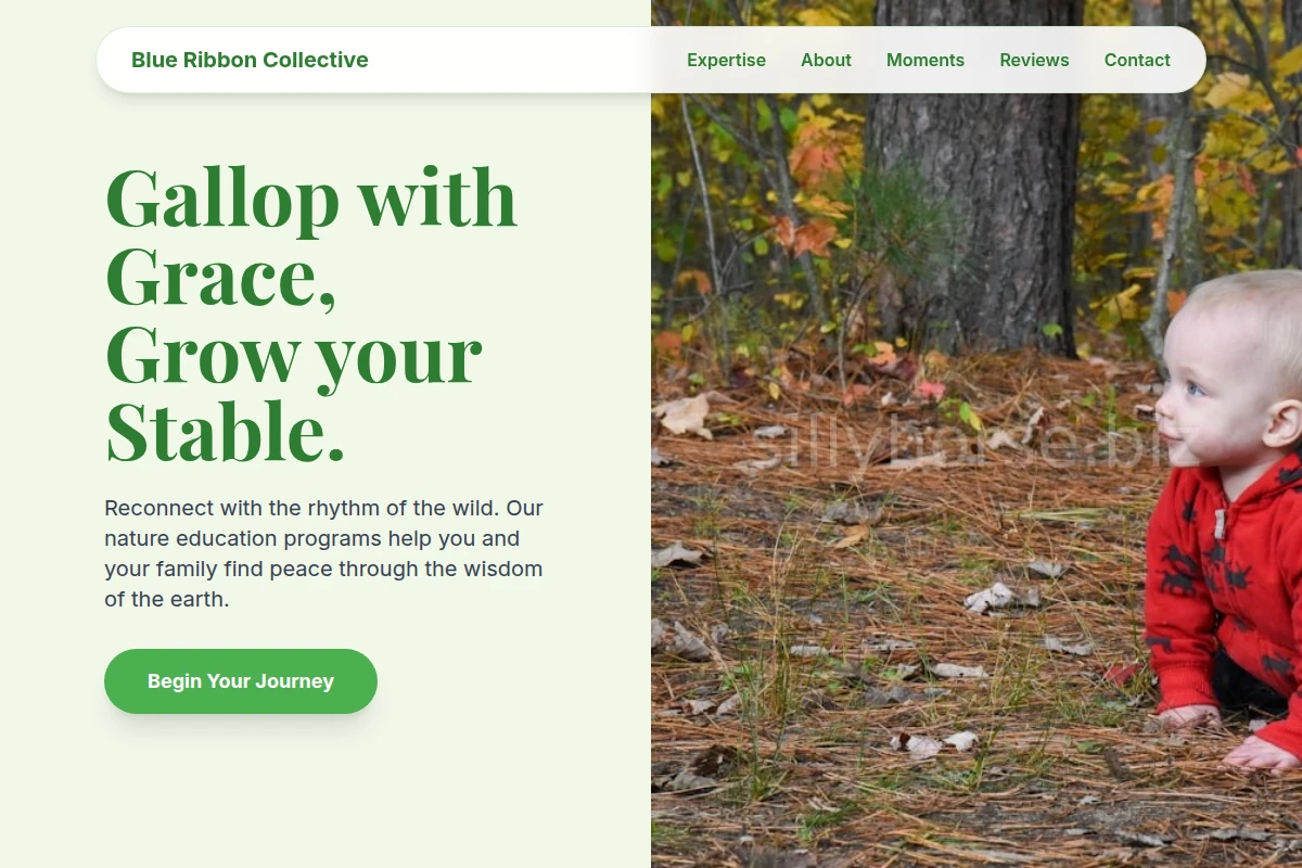 Paddock Nature Education
