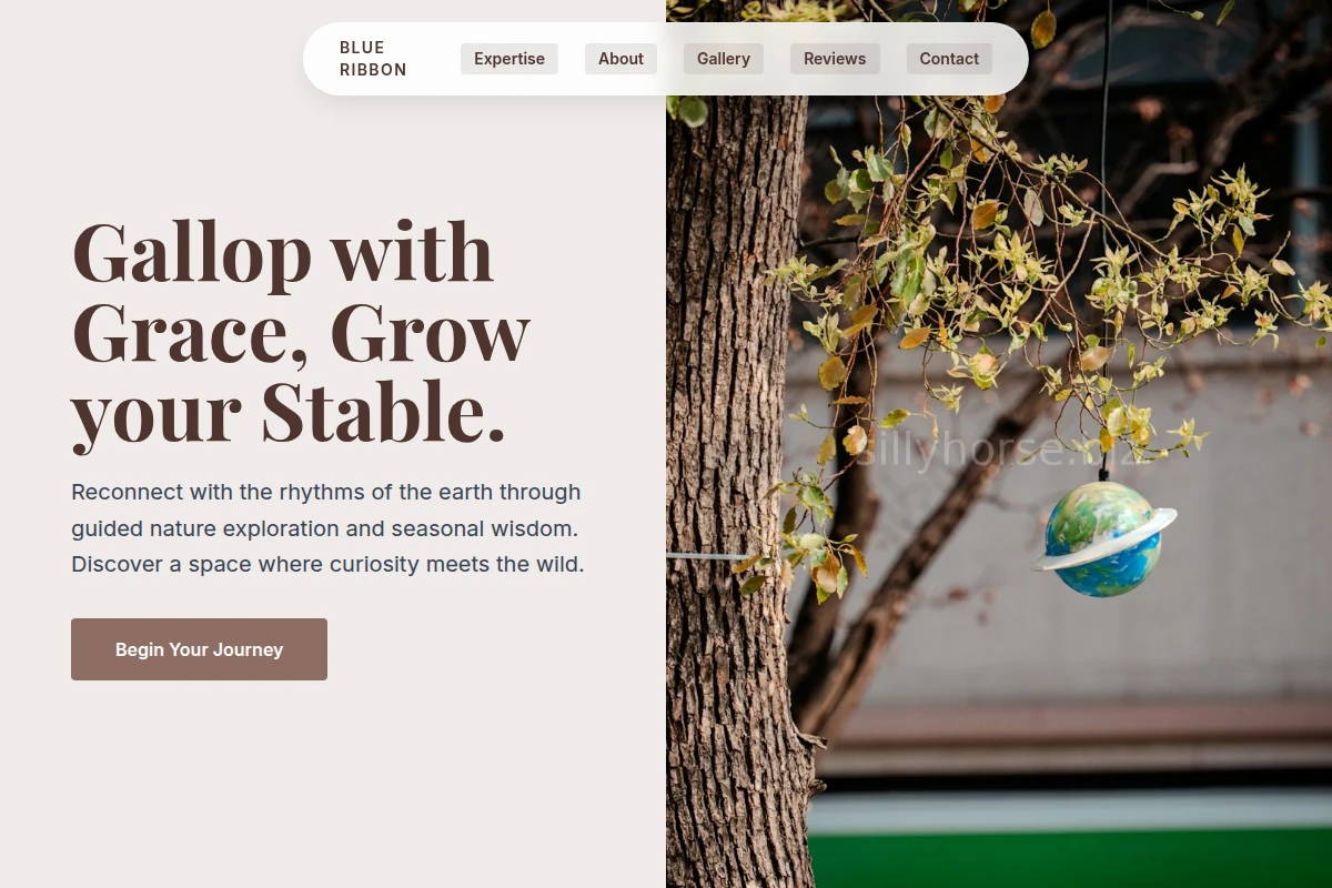 Paddock Nature Education