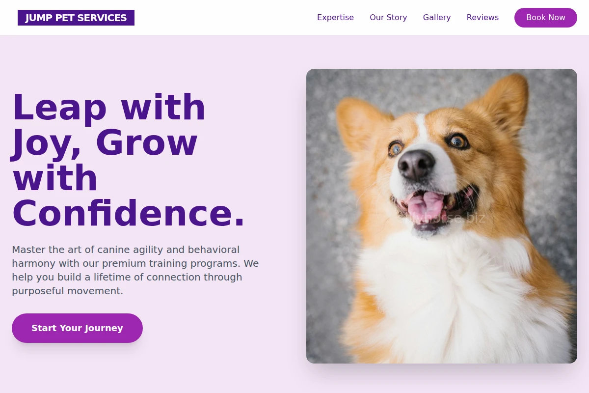 Jump Pet Services