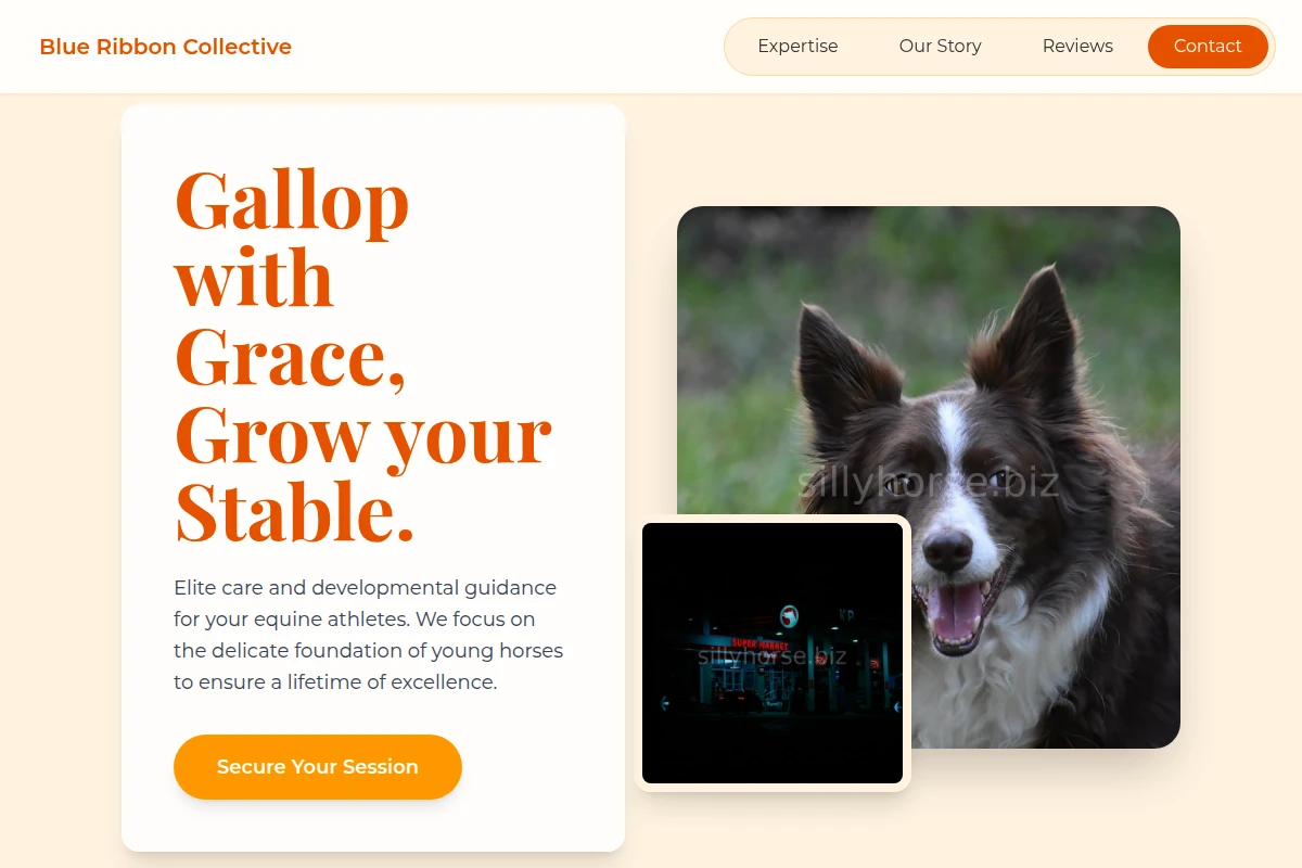 Foal Pet Services