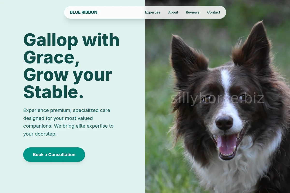 Ribbon Pet Services